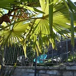 Appartement Monte E *